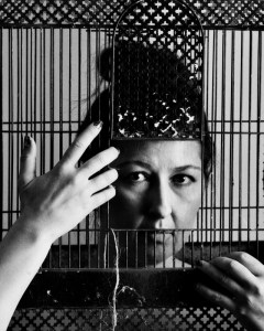 Caged Birg Sings - detail