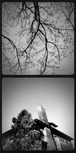 Observation: North Point, 2013 Digital photography 11x14 inches framed