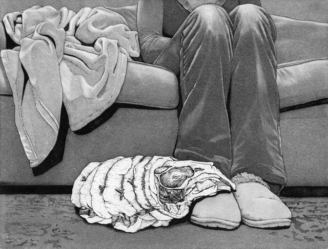 Slipper Snuggle  engraving, line etching, aquatint,  7” x 9” , 2013  