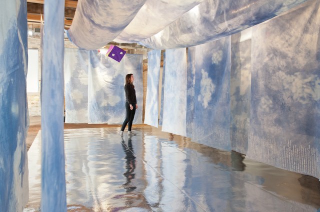 Emergence: screen prints on paper, mirrored floor, collage on fabric, 2014, size variable