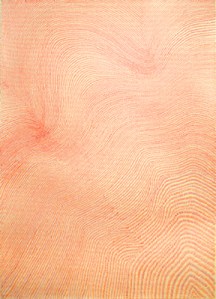 32856x5, 6' x 51", Colored pencil on paper, :2013 