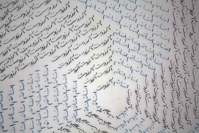 I desire for a human being 2 (detail shot) Black and blue ball point pen on drafting film, 17” x 11”, 2014