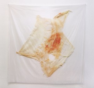 Buckskin, digital print on fabric, 72” x 72”, 2013