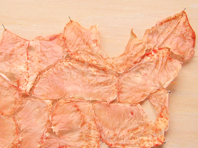 Grapefruit Conversation detail