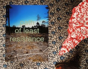 Path of Least Resistance. digital print, acrylic, silkscreen, and collage. 24x30. 2013