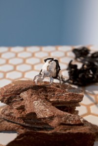 Traverse, 2014, porcelain cicada, marbled stoneware, industrial tile, grout and wood.