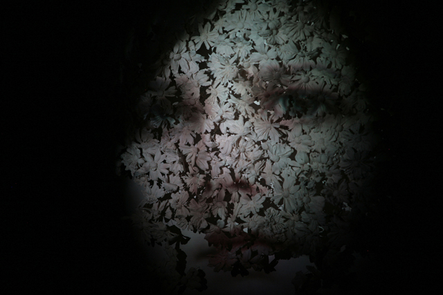 Elements of Oneiric Preservation, 2012, Original Video Projection, Porcelain daisies, music wire. 