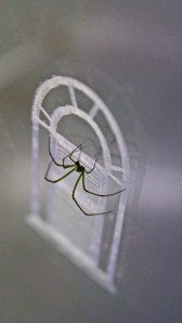 "Mason House." (detail) Laser-cut plexiglass, Venusta Orchard Spider, webs. 17" x 13" x 17." 2013.