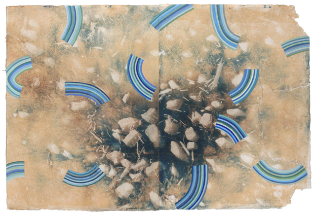 Outgrowth, toned cyanotype, gouache, 2014
