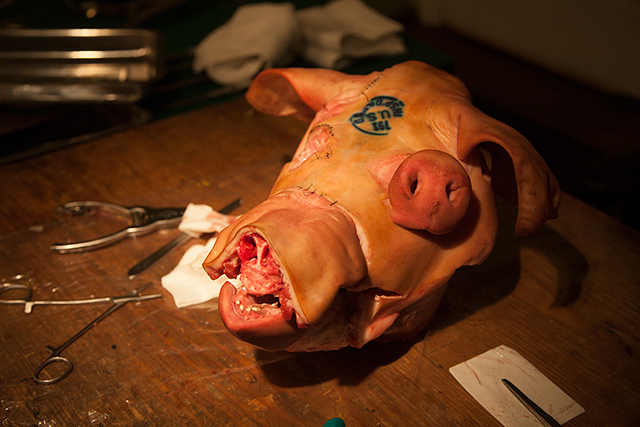 Title: The Mask Year: 2014 Medium: HD single channel video, stereo Length: 7 min Link: https://vimeo.com/92121536