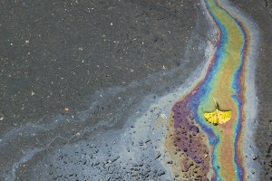 "Spectrum", from the series Peach Blossom Spring 30"x20" Archival ink jet print 2014