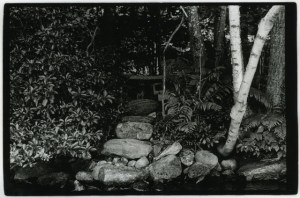 Untitled, Silver Gelatin Print, 16” x 20”, 2013