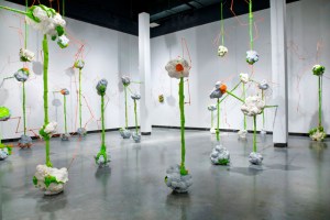BRAIN FRUIT - MIXED MEDIA INSTALLATION 2011