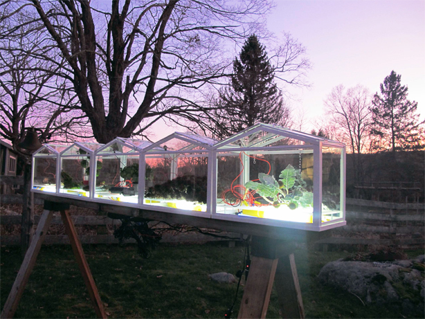 PlantBot Incubators, Refashioned commercial products, off grid pushbutton interactive research during I-Park Residency, East Haddam, Connecticut. 2012