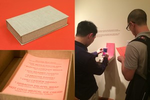 Project 3: Searing Red Dust (The Vanishing Huy Fong Foods Cookbook), Unique cookbook of unfixed Inkodye prints within custom-made clamshell box, 6.25" x 10.5" x 1.25", 2014.