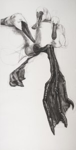 The Curious State, Charcoal on Paper, 68 by 36 in, 2012