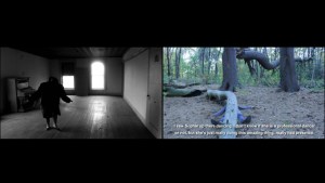 Vanitas - Two Trapped Bears (2013-2014) two-channel HD video (Lbw, Rcolor, sound), 8'30