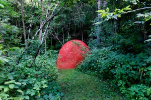 In collaboration with Bradley Tsalyuk, Monolith, C-Print, 2014