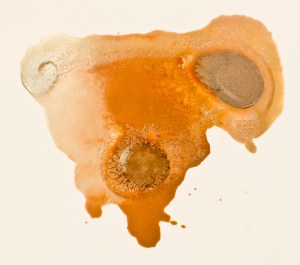 Bass _1 "48 Hz" Oil and Acrylic on Plexiglas, 24" x 24" 2011