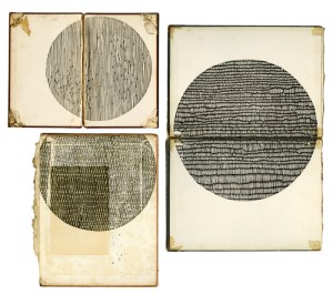 Woodblocks on 19th century book covers dimensions range from 9x12" to 12.25x18" unique impressions  2013