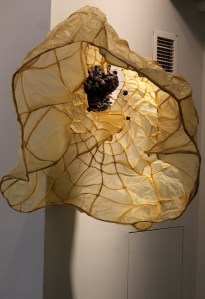 "Ipomoea." 2014. Tracing Paper, Wire, Felt, Methyl Cellulose 50"x54"x60"