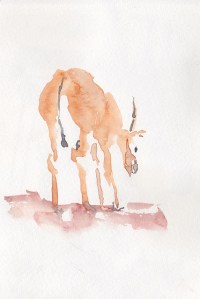 Still / Watercolor / 5” x 7” / 2012