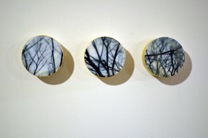 Forest for the Trees # 14, Photo Encaustic on Poplar, 2013.  