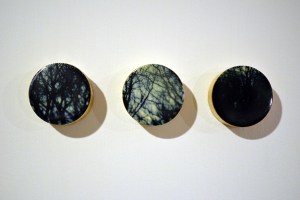 Forest for the Trees #16, Photo Encaustic on Poplar, 2013.  