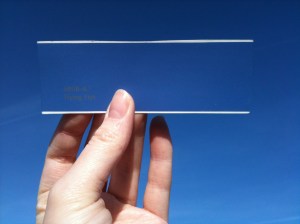 1/7 - 9:30am, O'Hare Oasis, facing up, "Flying Fish." Digital photo, 2013.