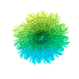 Untitled Botanical #44, All the Shine, Archival Inkjet Print, 35in x 35in, 2014