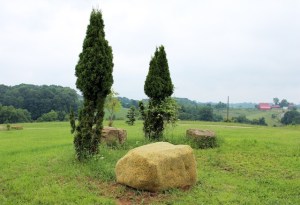 Title: Soft Rock Medium: boulder, custom slip cover made from carpet padding foam taken out of adjacent house Size: 3' x 3' x 3' Date: 2014
