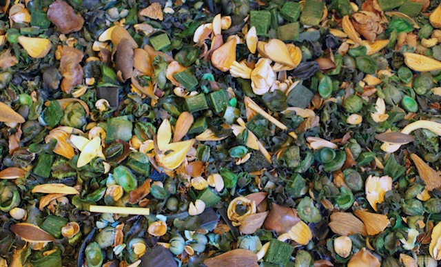 Title: Nature Calls Medium: ocean breeze and forest fresh potpourri, bathtub Size: 6' x 3' x 3' Date: 2014