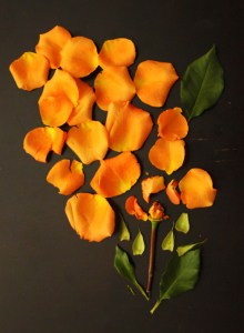 Rose De-Reconstruction