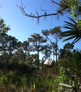 Welcome Home Listen_Hear Box, Repurposed box with sound, 2014