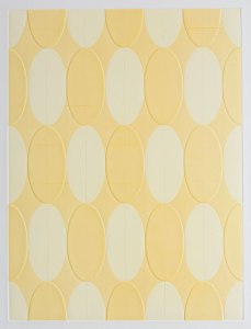 Juan Canary 2, 2013, Monoprint on 400 gram Rives BFK,  Image: 16 x 12 inches printed on 30 x 22 inch paper (cropped in photo) 