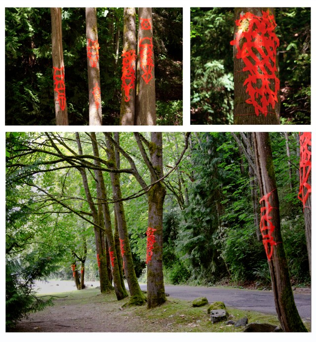 'Periapt', orange vinyl with grommets, twine on trees, dimensions variable, 2014