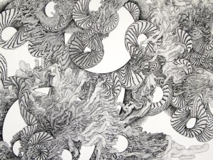 title: Constriction no.8 (detail) medium: Ink on paper size: 6”x8” year: 2014