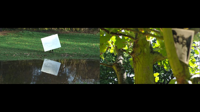 detail shot of Satisfaction video, 2014, video still