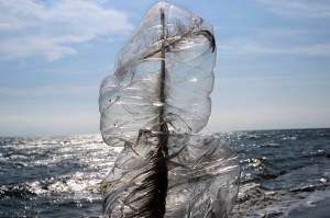 Message Sent, (from the series Single-use Landscape), Archival Ink Jet, 24"x36", 2011