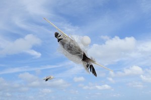 Mid-air, (from the series Single-use Landscape), Archival Ink Jet, 24" x 36". 2012