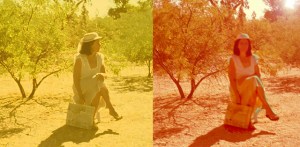 Rapture Box, 2012, performance documentation, variable dimensions, with box assemblage, 4 x 16 x 12.”