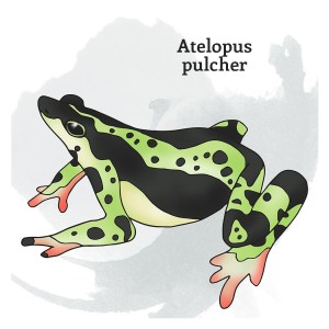 Title: So Long, Farewell: Extinction in the Anthropocene Era Medium: Installation, featuring a memory card game (there are 640 cards in total) Date: 2015 Dimensions: variable