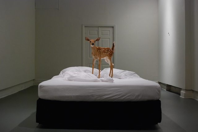 “What happens when you die”  2010 taxidermy fawn, bed, cremation tag