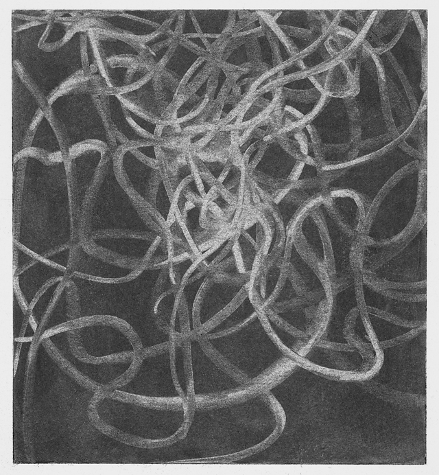 Tangle 34, charcoal on paper, image: 8.5 x 7.75" on 13.5 x 10.75" paper, 2014