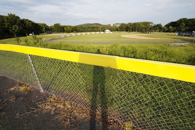 Yellow Rail (From the series: