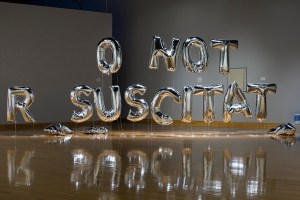 DNR (No Code) Mylar, Helium, Breath, and Ribbon 20'x 9' x 3'