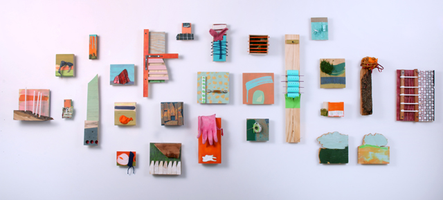 Nature/Nurture Mixed Media Assemblages 2014-2015