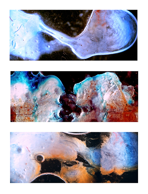 Family Portrait Microscopic Film Photograph 10 x 25 inches (Each) 2012 