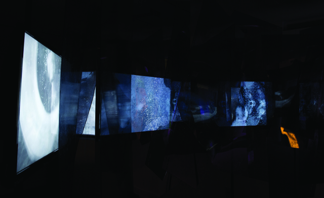 Evolver (detail of video installation), video installation, 8'x8'x8', 2014