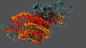 “Perpetual Flow” Computer programming generated images, photographic prints 35 3/4" x 20", 2013 